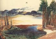 Albrecht Durer A Pond in the woods Spain oil painting artist